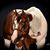 Oracio Gonzalez's profile image