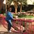Dyann Moore Sabino's profile image