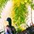 Renee Berger's profile image