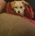 C Wesley Gossett's profile image