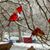 Ronda Leffel-Andersen's profile image