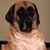 Linda Zent's profile image