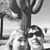 Abby Chapple Kithcart's profile image