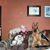 Judy Dunn's profile image