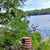 Susan Miller Fitzgerald's profile image
