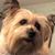 Colleen Haller-Koss's profile image