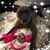 Bobbi Anne Thomas's profile image