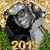 Svetlana Miles's profile image