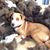 Kay Oglesby's profile image