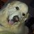 Sarah S Wright's profile image