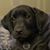 Matthew Frazier's profile image