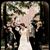 Theresa M J Wasinski's profile image
