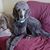 Marcia Broderick's profile image