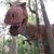 Gregory Gantt's profile image