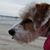 Anne Dobbins Compton's profile image