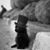 Janice Smith's profile image