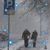 Ethyl French's profile image