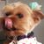 Debi Cheek's profile image