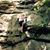 Patty Swinehart's profile image