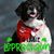 Patti Glasgow's profile image