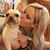 Lexie Swiercinsky's profile image