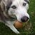 Jona Weyer's profile image