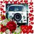 Lynn Swett's profile image