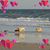 Deb Robinson's profile image