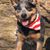 Delia Sleggs's profile image