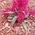 Ashley Minton Chinn's profile image