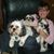 Debra Tharp's profile image