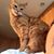 Kathleen Howard Foley's profile image