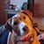 Charlene Clark-Sell's profile image