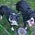 Sharon Parsch's profile image