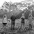 Tracey Leftridge Oder's profile image
