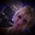 Melissa Larsen's profile image