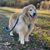 Diane Blevins Smith's profile image