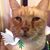 Douglas Folk's profile image