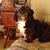 Bonnie K Richardson's profile image