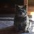 Ruthie Knoff's profile image