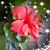 Pat Bordelon's profile image