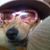 Jeff L. West's profile image
