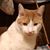 Gayle Majewski's profile image
