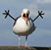 Dave Carter's profile image