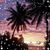 Shazia Khan-Ali's profile image