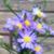 Patricia Box Newman's profile image