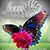 Kimberly Clark's profile image
