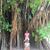 Beatriz E Solis's profile image