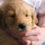 Debi Brewer's profile image