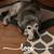 Beth Slater Markham's profile image
